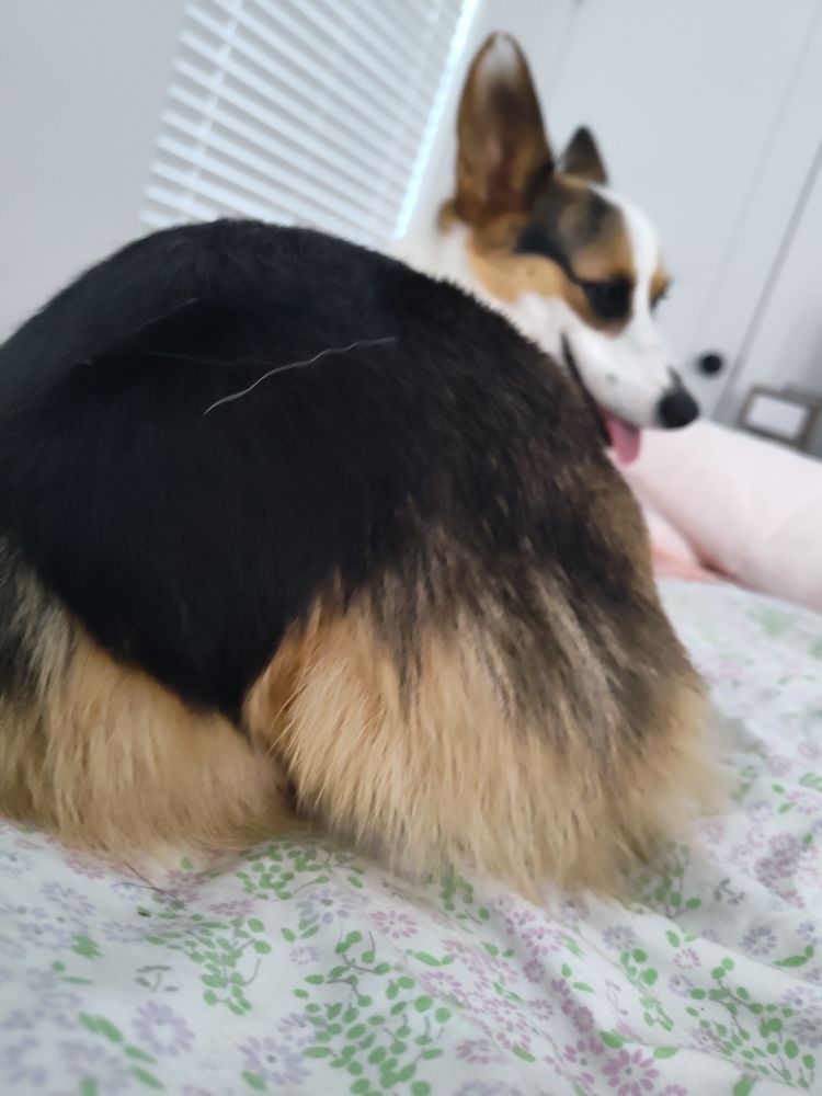 Tilly posing with her momo on full display. 