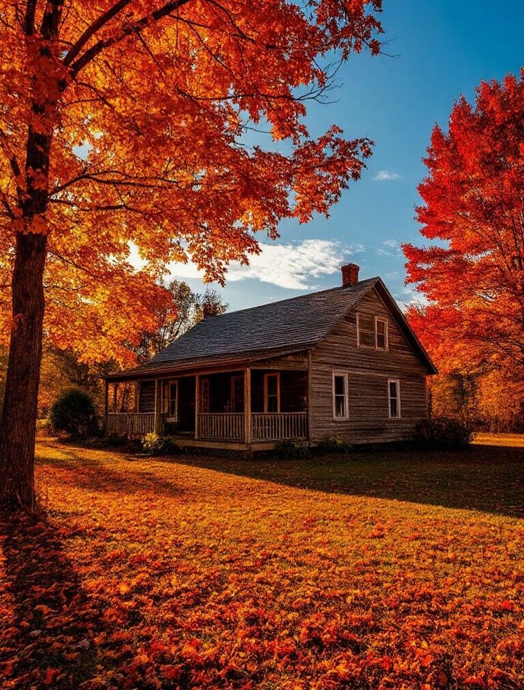 A small cabin in the fall sunlight.