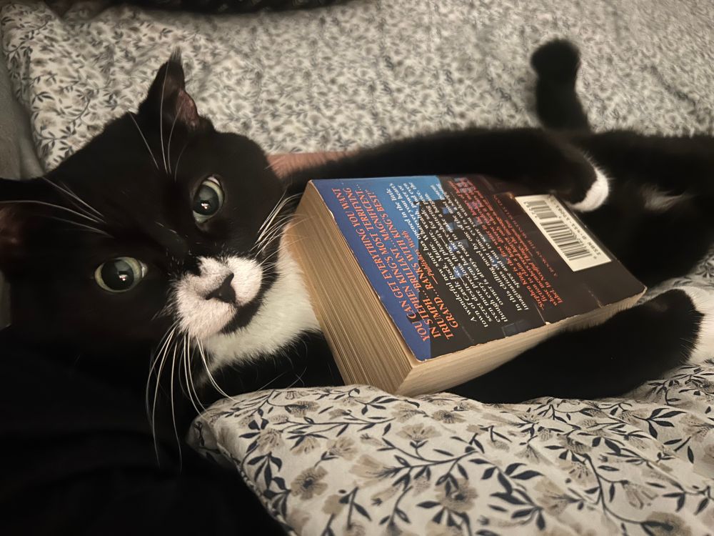 Tuxedo cat holding a copy of Needful Things laying in bed