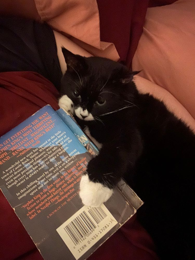 A tuxedo cat cradling a beat up paperback copy of Stephen King’s Needful Things.