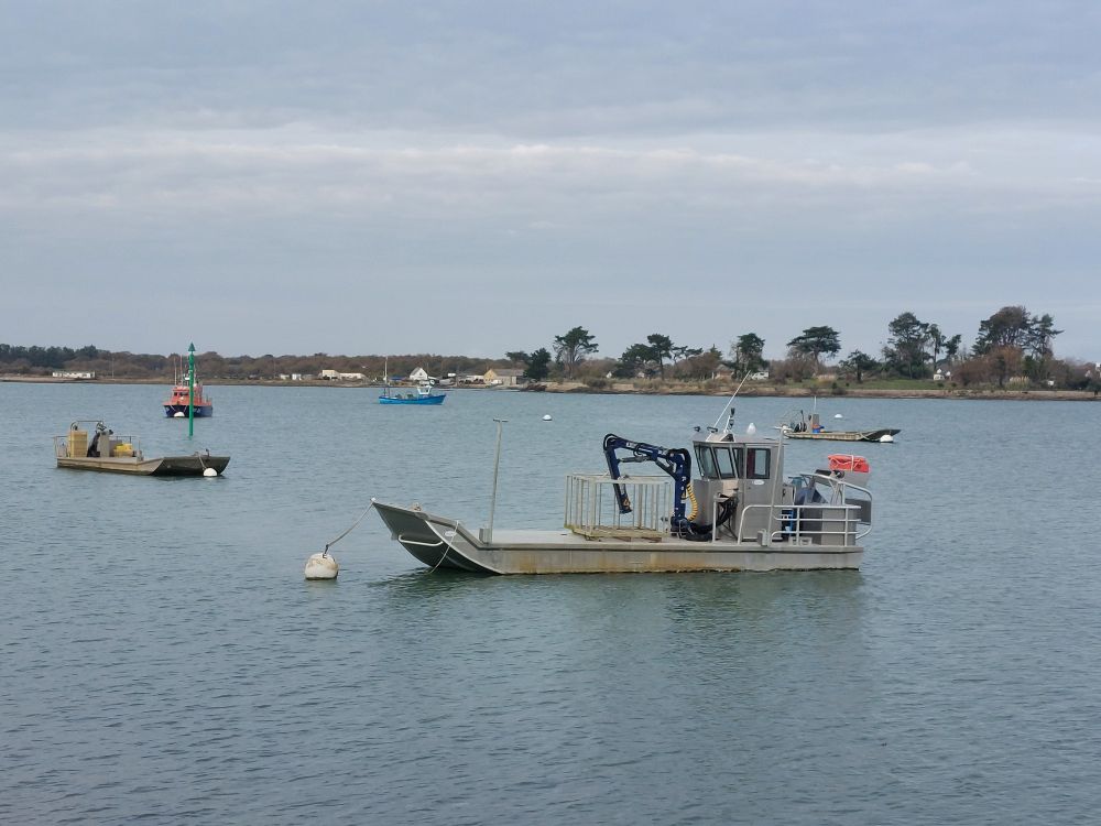 High tide, an oyster boat is moored in the Port of Pénerf. Other boats are moored further away from the camera. Trees and buildings can just be made out on the opposite bank.