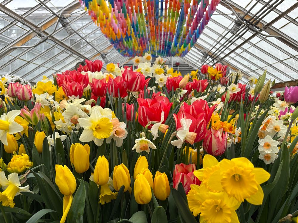 Greenhouse filled with spring flowers with art installation overhead