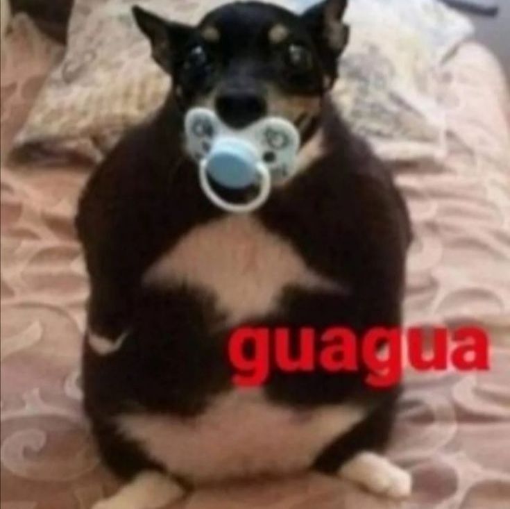Comment image