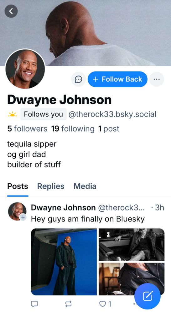 A screenshot showing that @therock33.bsky.social is following the original poster. It appears to be a fake account because it only has 5 followers and is following 19 accounts 