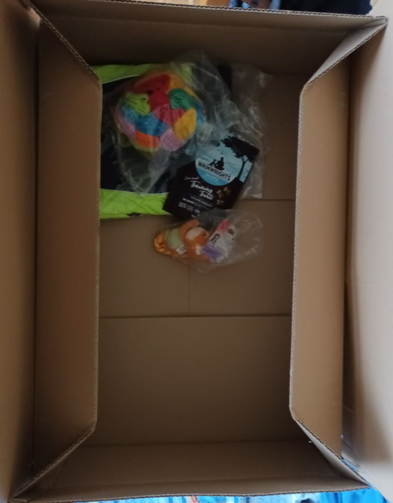 Dog coat, snuffle ball, fox tug toy and small bag of treats packed in a MASSIVE box.