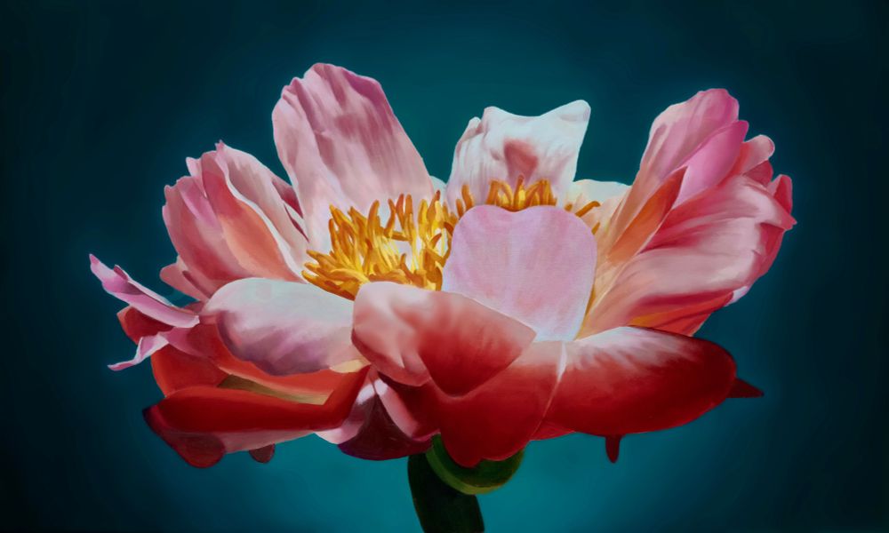 “Imperial Bloom” 40” X 24”, Oil on Linen