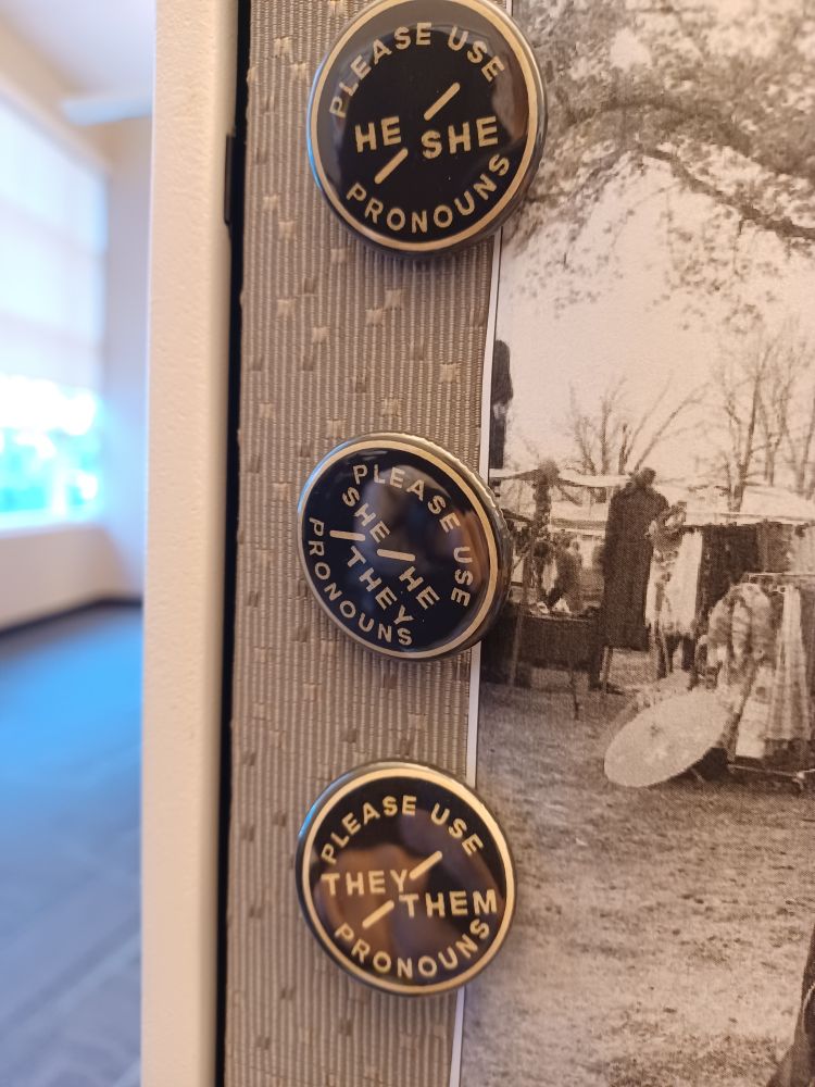 Pronoun buttons he she they
