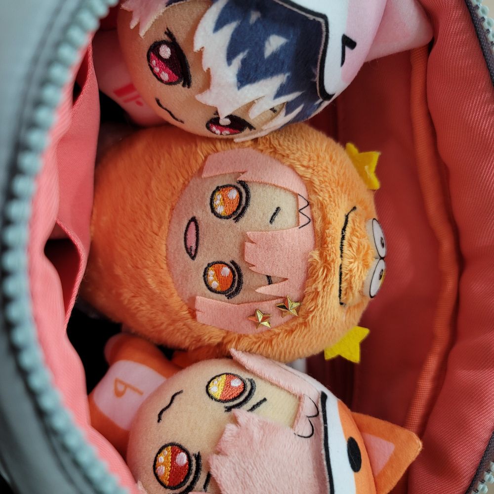 内布がピンク色のバッグの中に入っている、ドンモモさん、モンみつさん、ドンみつさんを横から撮った写真。