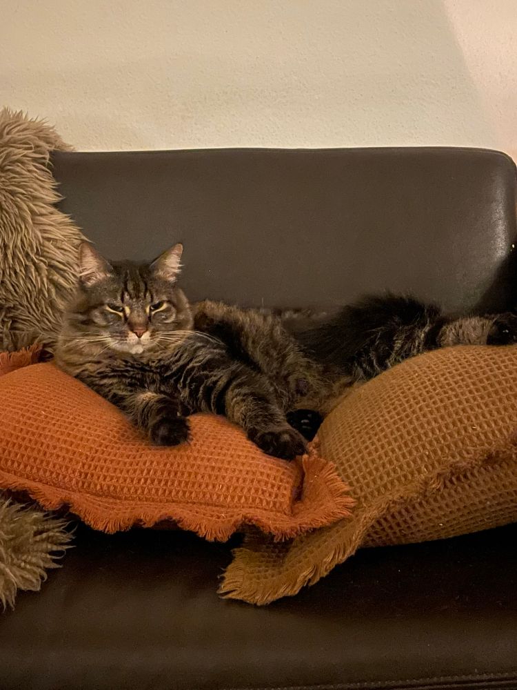 Qui a gagné un stupide pari et a droit de choisir les disques ce soir? Le Petit.