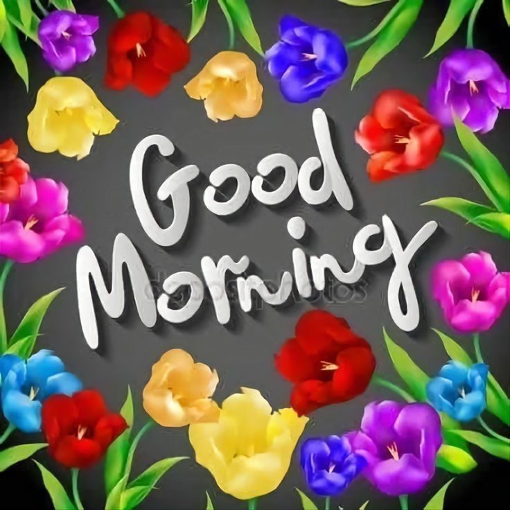 Comment image