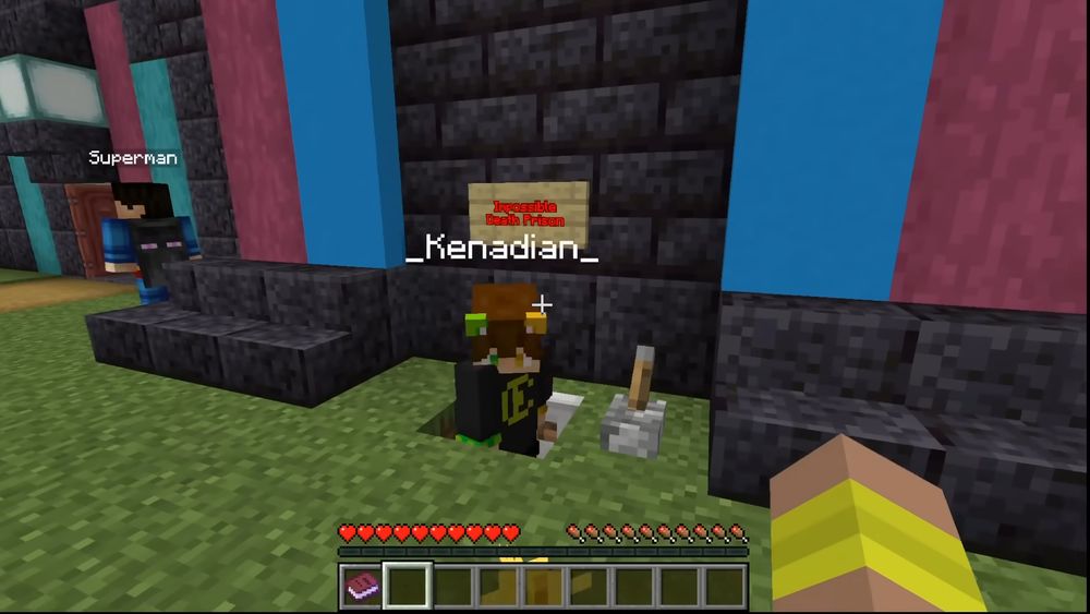 screenshot from seawatt's video on minecraft's first bans where he drops kenadian into a lava one-block