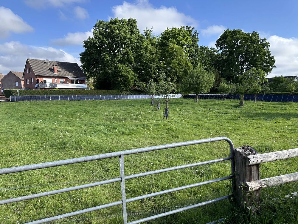 Eine Wiese. Auf der gegenüberliegenden Seite ist kein Zaun, sondern eine Reihe Solarpanele