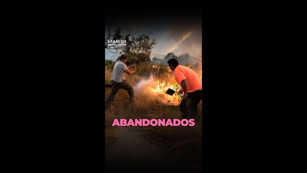 Abandonados