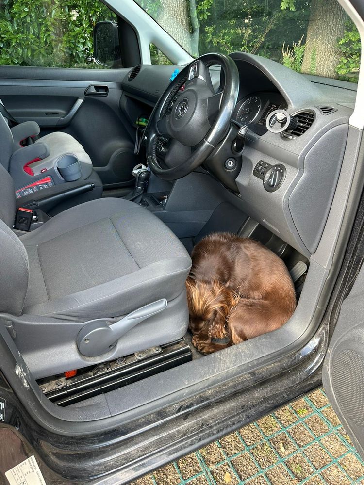 Murphy the brown Cocker Spaniel having a nap in the drivers side footwell of a van 