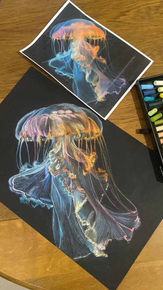 Méduse colorée 