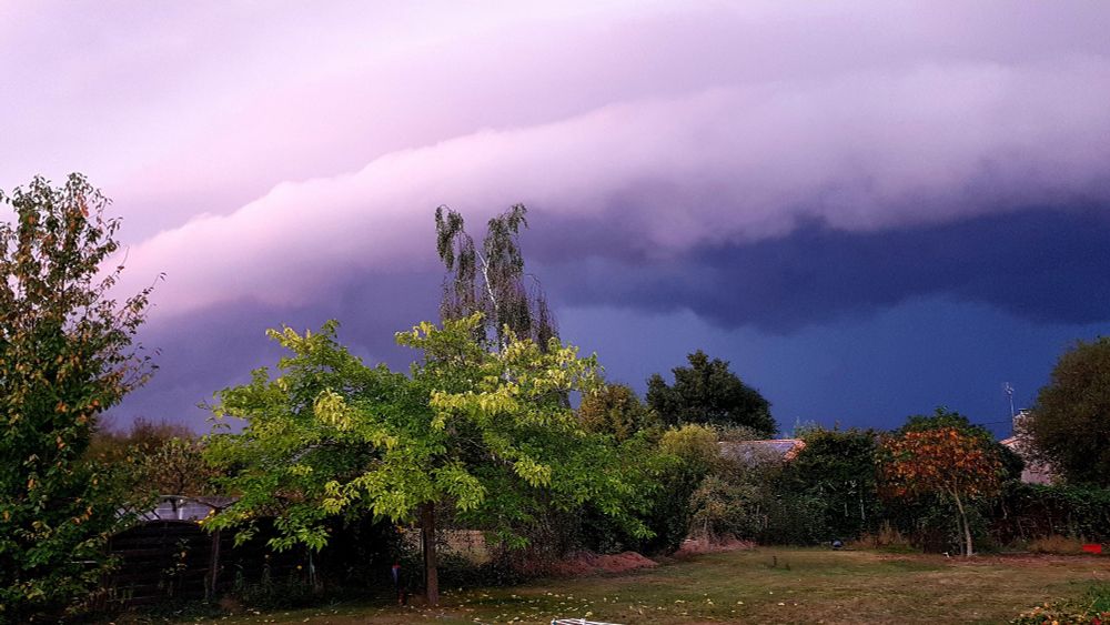 Un soir juste avant l 'orage. Photo du jardin assombri par l arrivée de nuages très menaçant, avec presque une ambiance de fin du monde