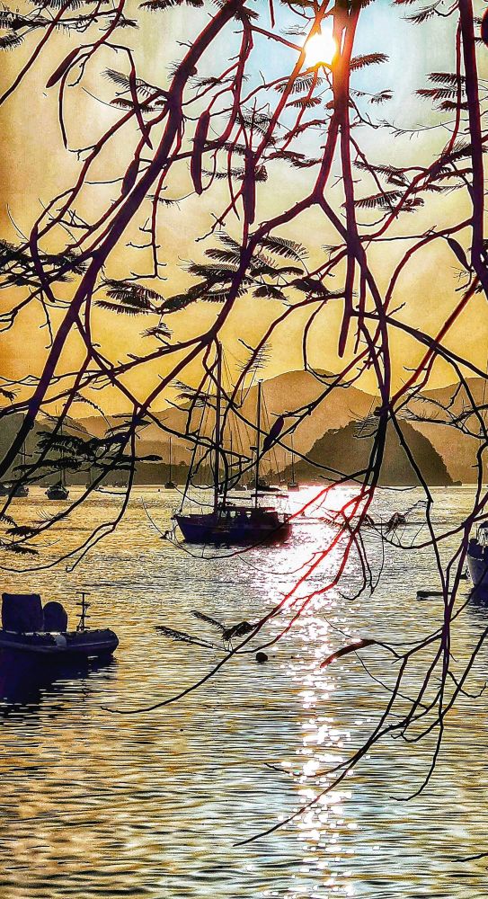 Coucher du soleil sur la baie des Saintes. Derrière quelques branches
 d' arbres, le soleil se couche sur la baie et se reflète dans l'eau. Un voilier et quelques petits bateaux sont amarrés.
Au fond on aperçoit le "pain de sucre",
 l'endroit idéal pour le snorkeling .