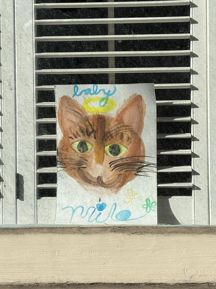 A lovely little finger painting a child made of a brown tabby cat “Baby Milo” in a window. 