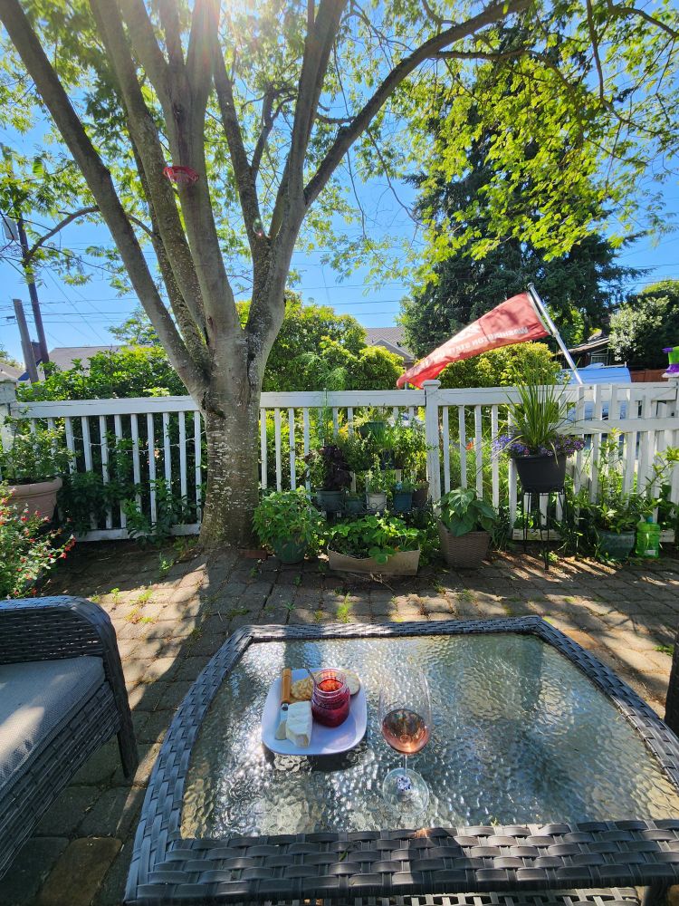 Shaded patio table with wine & cheese, tree in the background.