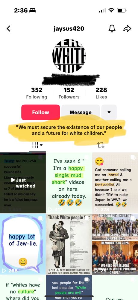 Racist TikTok account screenshot. 