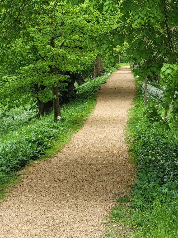 Ein heller Sand und Kiesweg zieht dich geradlinig zum Horizont. Frühlingsgrüne Bäume zieren den Weg.