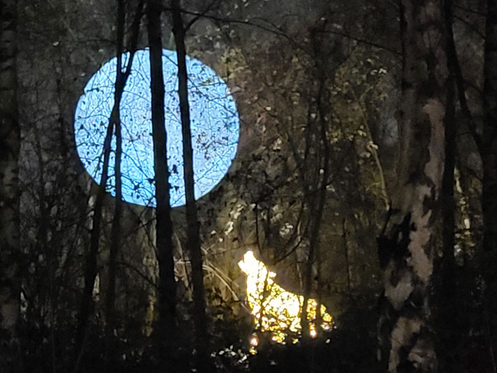 Eine Lichtunstallation im dunklen Wald. Ein weiß blauer Vollmond wird von einem gelbweißem Hund angeheult. Im Vordergrund erkennt man eine Birke.