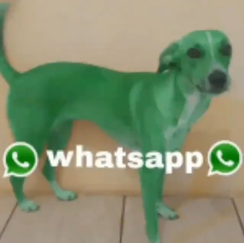 Comment image