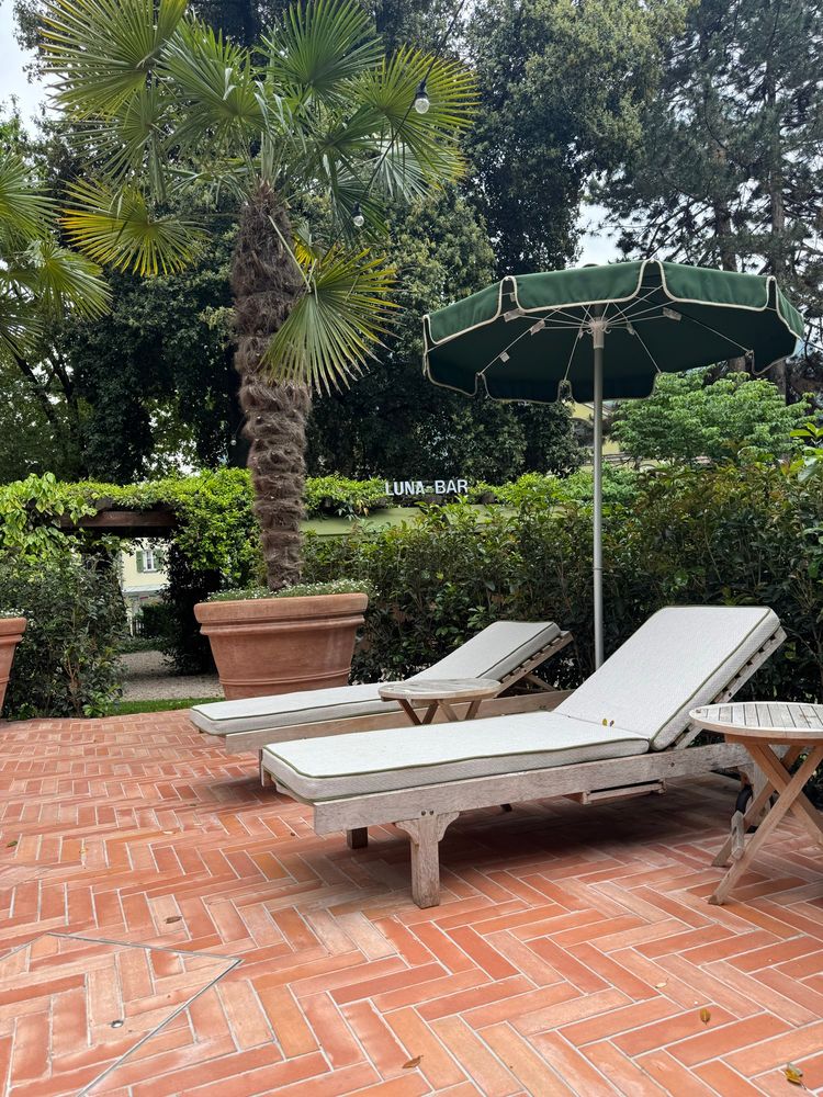Two white and empty deckchairs in front of a palmtree and a green garden