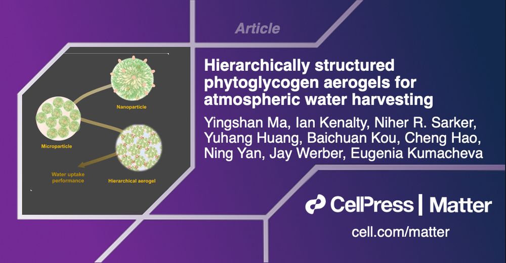 Article: Hierarchically structured phytoglycogen aerogels for atmospheric water harvesting by Yingshan Ma, Ian Kenalty, Niher R. Sarker, Yuhang Huang, Baichuan Kou, Cheng Hao, Ning Yan, Jay Werber, Eugenia Kumacheva. Cell Press, Matter, cell.com/matter.
