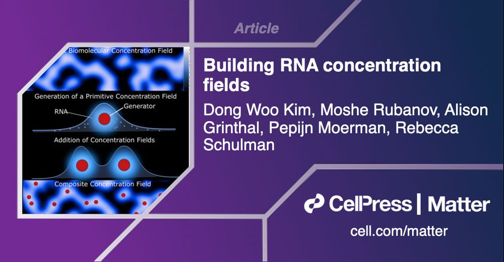 Article: Building RNA concentration fields by Dong Woo Kim, Moshe Rubanov, Alison Grinthal, Pepijn Moerman, Rebecca Schulman. Cell Press, Matter, cell.com/matter.