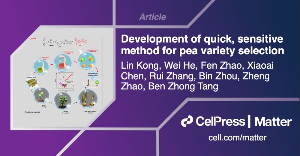 Article: Development of quick, sensitive method for pea variety selection by Lin Kong, Wei He, Fen Zhao, Xiaoai Chen, Rui Zhang, Bin Zhou, Zheng Zhao, Ben Zhong Tang. Cell Press, Matter, cell.com/matter.