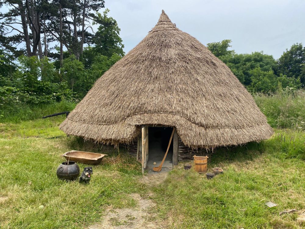 A photoshop reconstruction showing an early medieval thatched house and the Skehacreggaun stick in the doorway