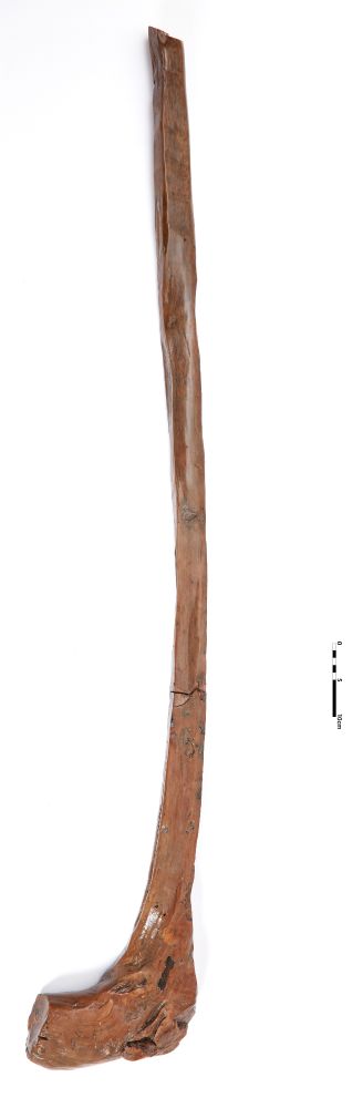 The Skehacreggaun, Mungret, Co. Limerick stick, made of willow, dated to the 7th century AD