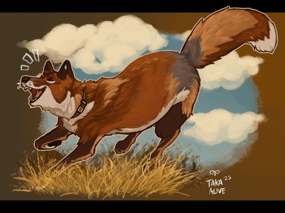 christopher the fox happily leaping into some dry grass, a brown background with a blue sky patch and some clouds 