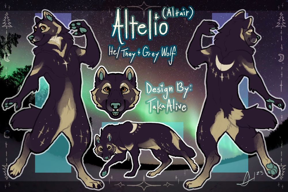 a purple and cream wolf refsheet, his name is Altelio