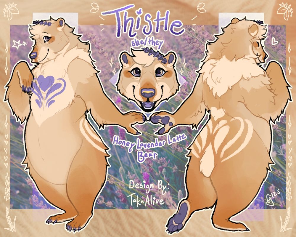 a cream bear named Thistle