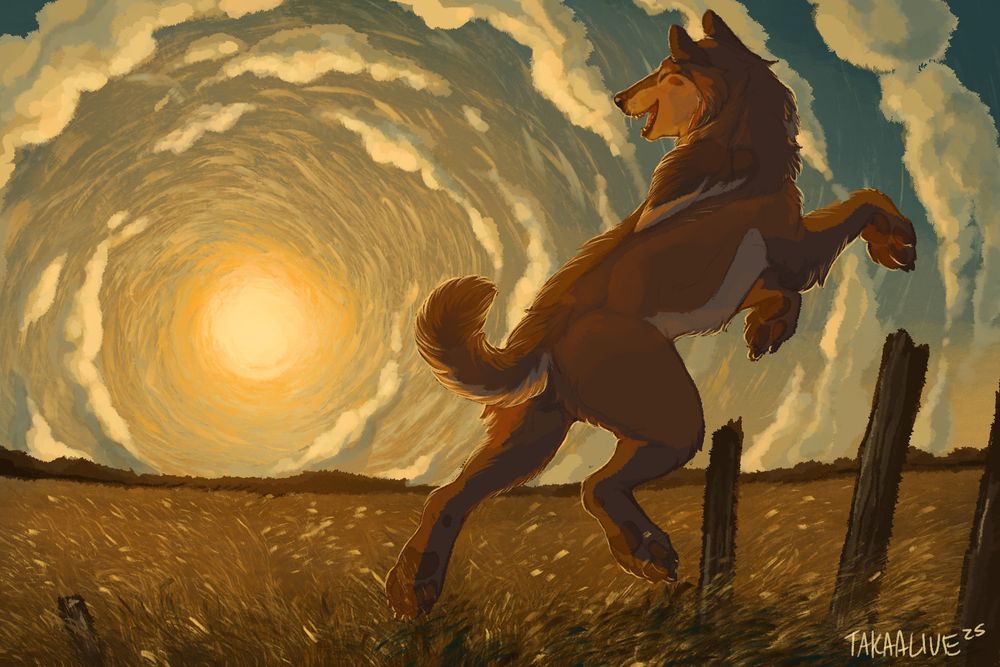 A bear-wolf happily jumping in a sunset lit field