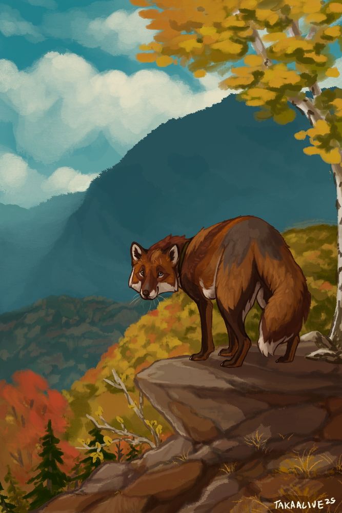 a red fox up on a ledge, smiling back at the camera. around him are lots of autumnal trees and mountains, clouds in the distance 
