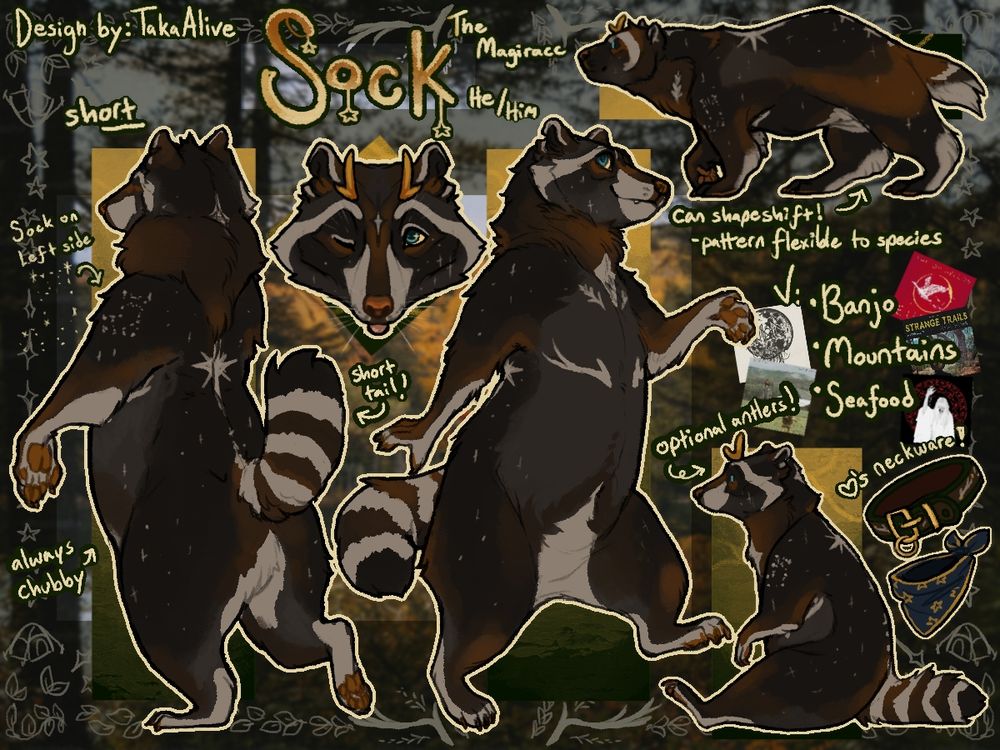 a dark phase raccoon that can shapeshift into various other mammals. shown as a raccoon, and a wolverine. his name is Sock. albums and trinkets are shown with him 