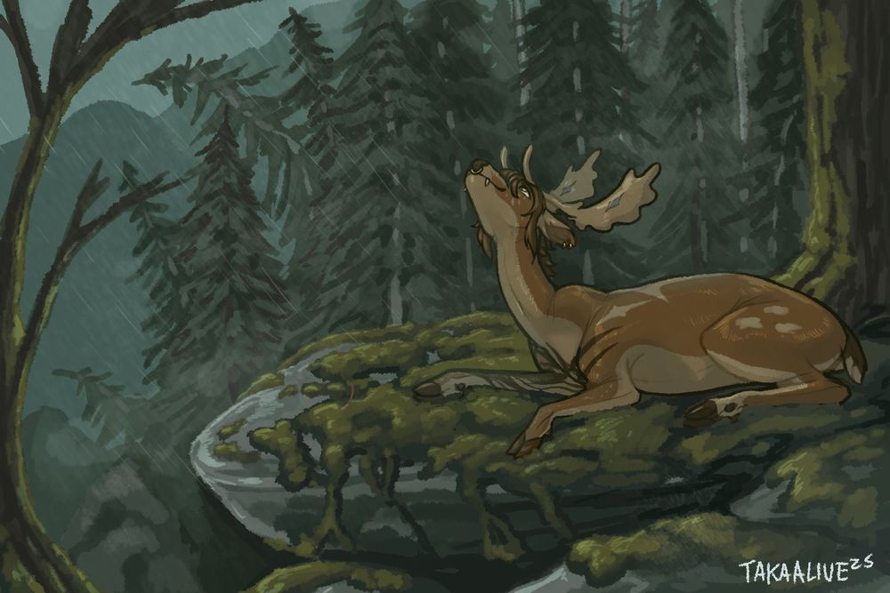a roe deer laying on mossy rocks on a cliffside enjoying a mountain storm 