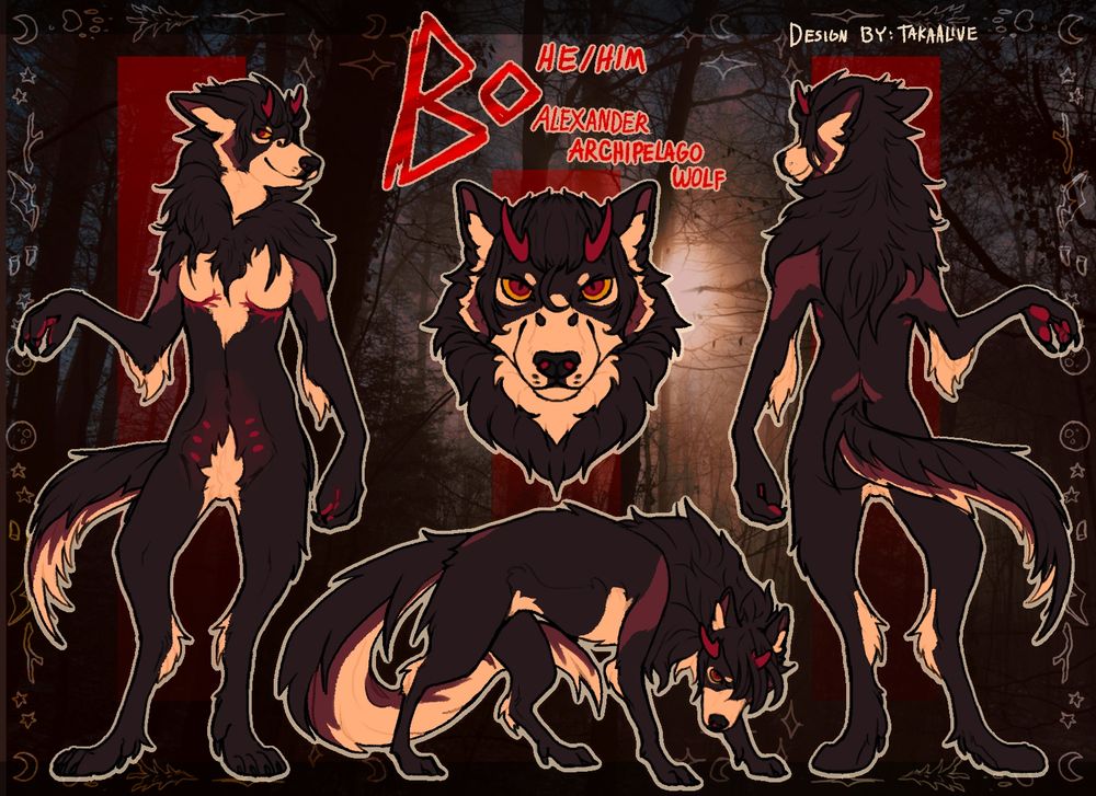Bo the wolf's refsheet- showing a fron/tback view, a quad fullbody, and a headshot. he's mostly black with red spiked horns, and cream and maroon markings