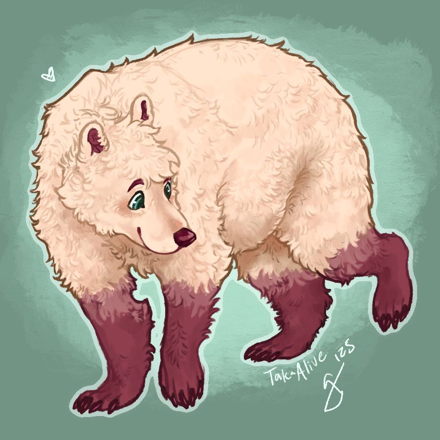 a blond and red curly coated bear
