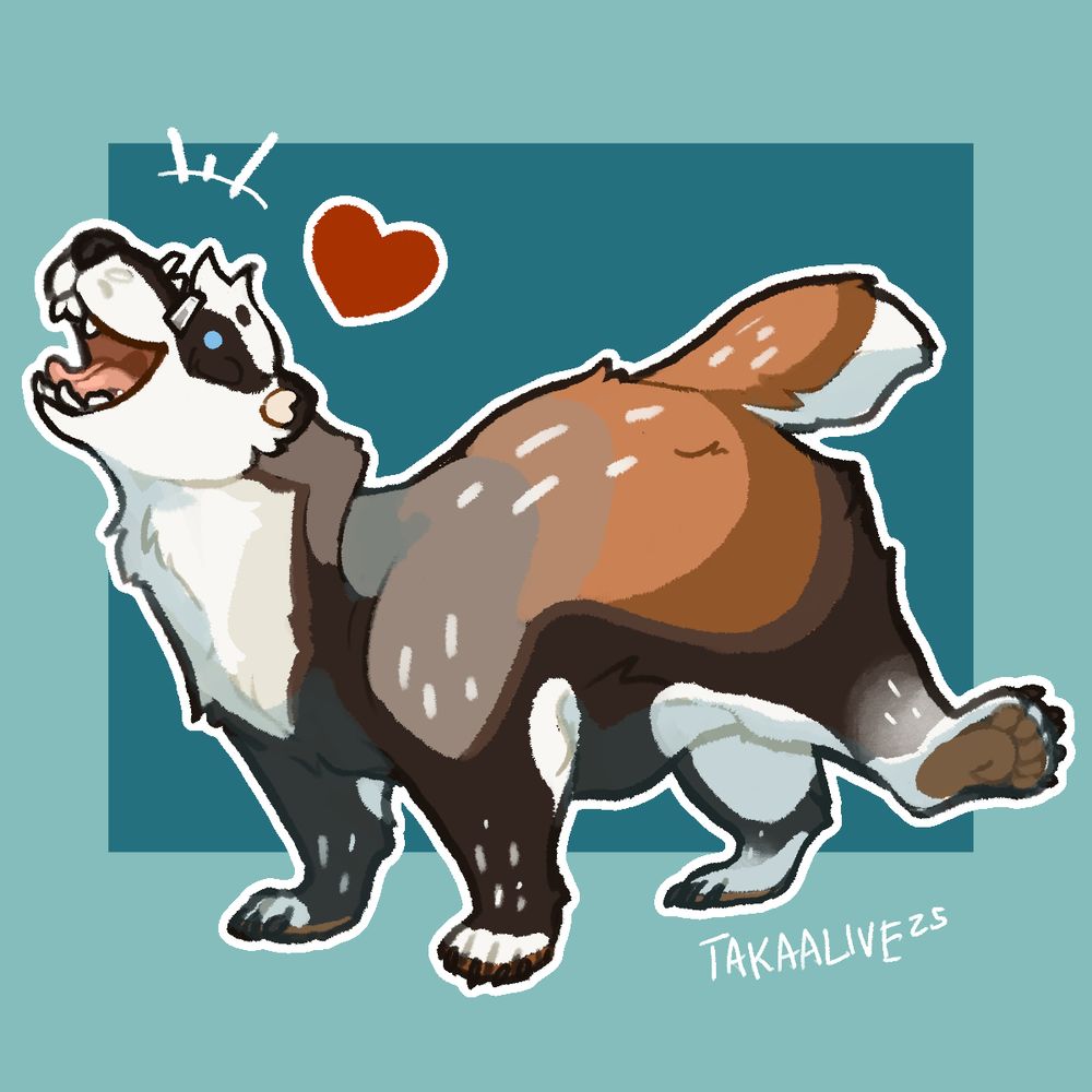a european badger happily kicking out his foot with a blue background and a red heart
