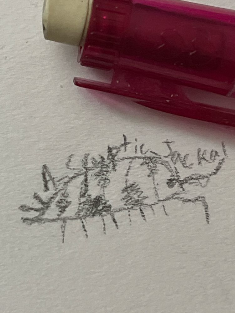 A drawing of a dairy cow isopod. 