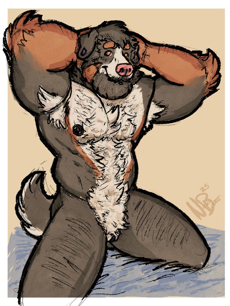 Anthro Bernese Mountain Dog, fairly muscular poses on a bed. He's got a bushy beard and lots of thick bodyfur.