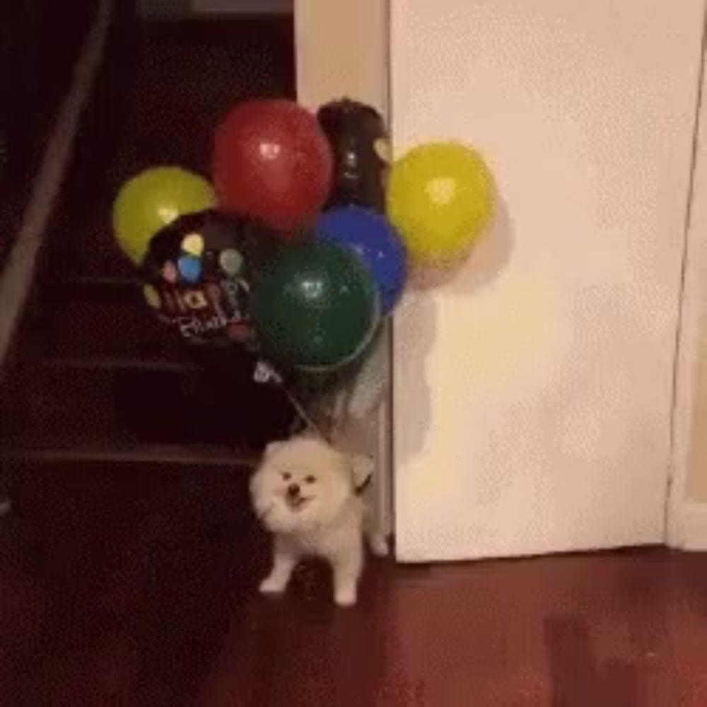 Doggo Balloons GIF