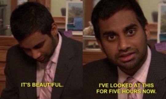 Tom from Parks and Recreation saying "It's beautiful. I've looked at this for five hours now."