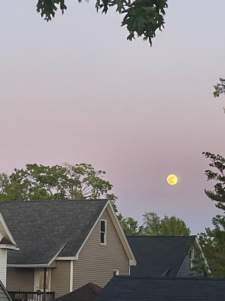 Photo of the moon, glowing yellow, over rooftops.