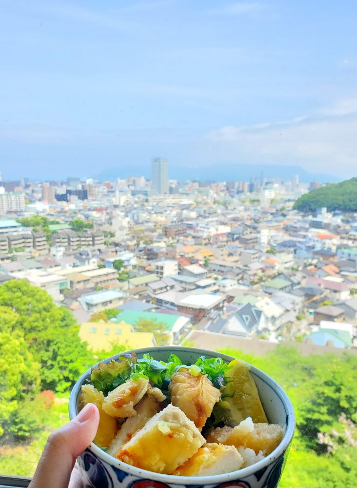 とり天ぶっかけうどんと高台から望む高松市