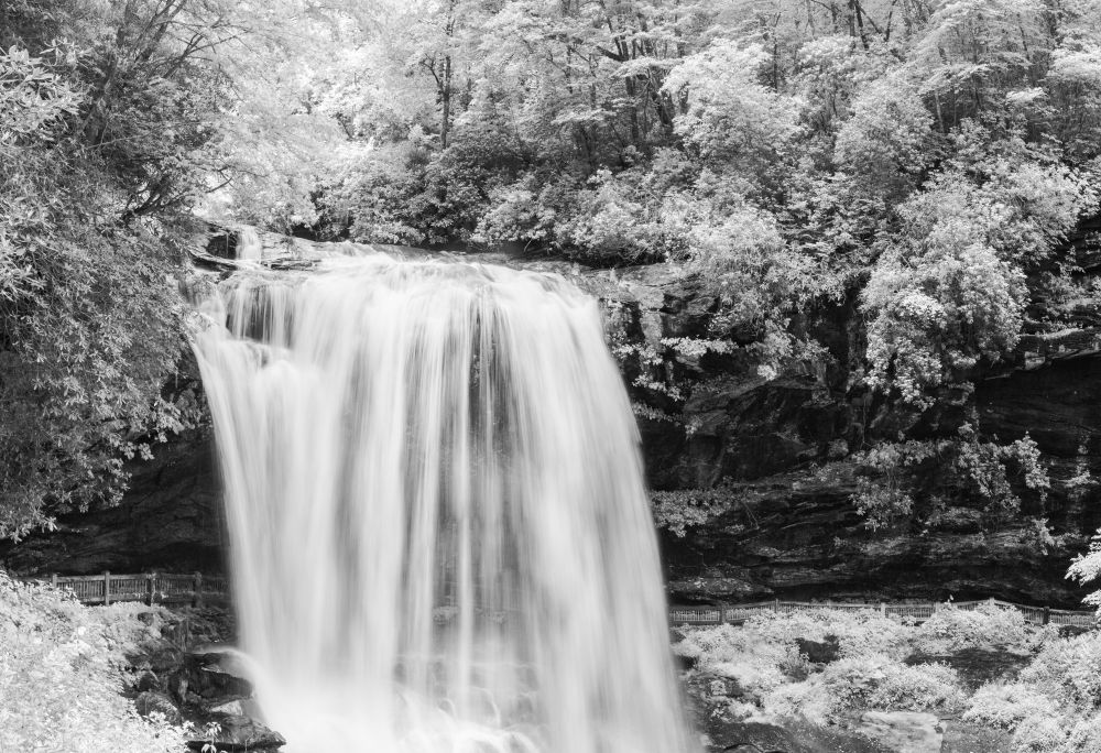 Cropped black and white panoramic photograph of Dry Falls in Highlands, NC. Foliage brightened towards white. 